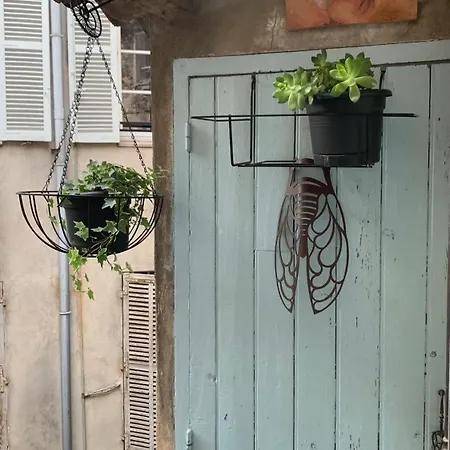 Suquet Cosy