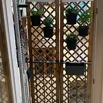 Suquet Cosy * Канны
